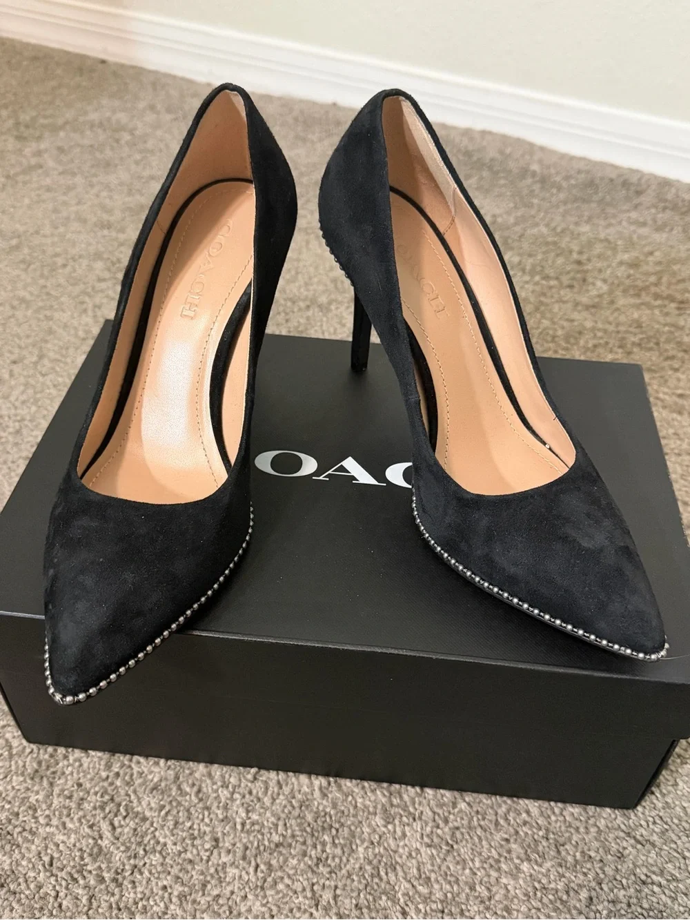 Coach Black Suede Pointed Toe Stiletto Pumps with Stud Trim